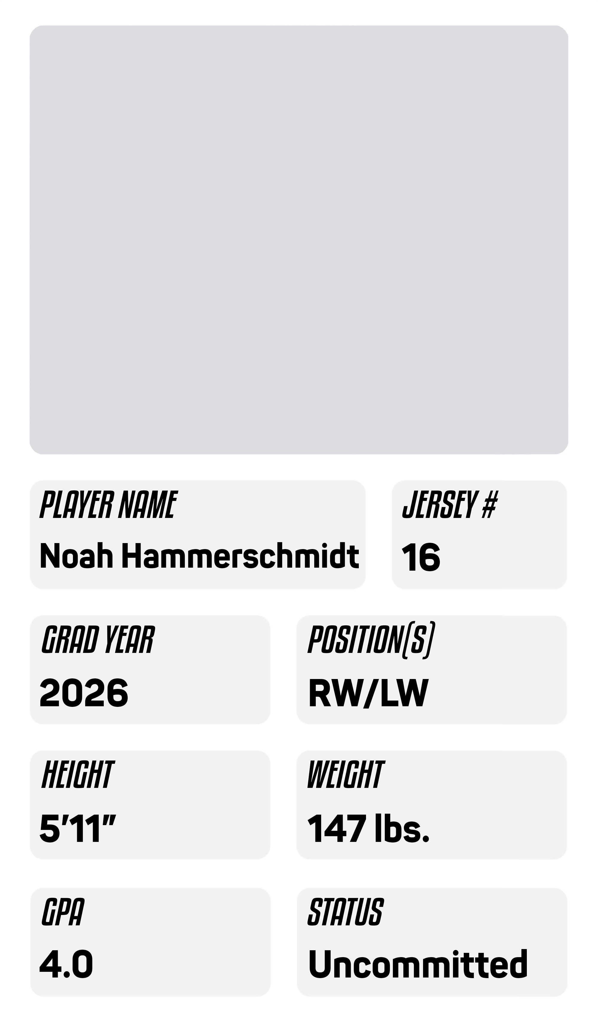 noah hammerschmidt